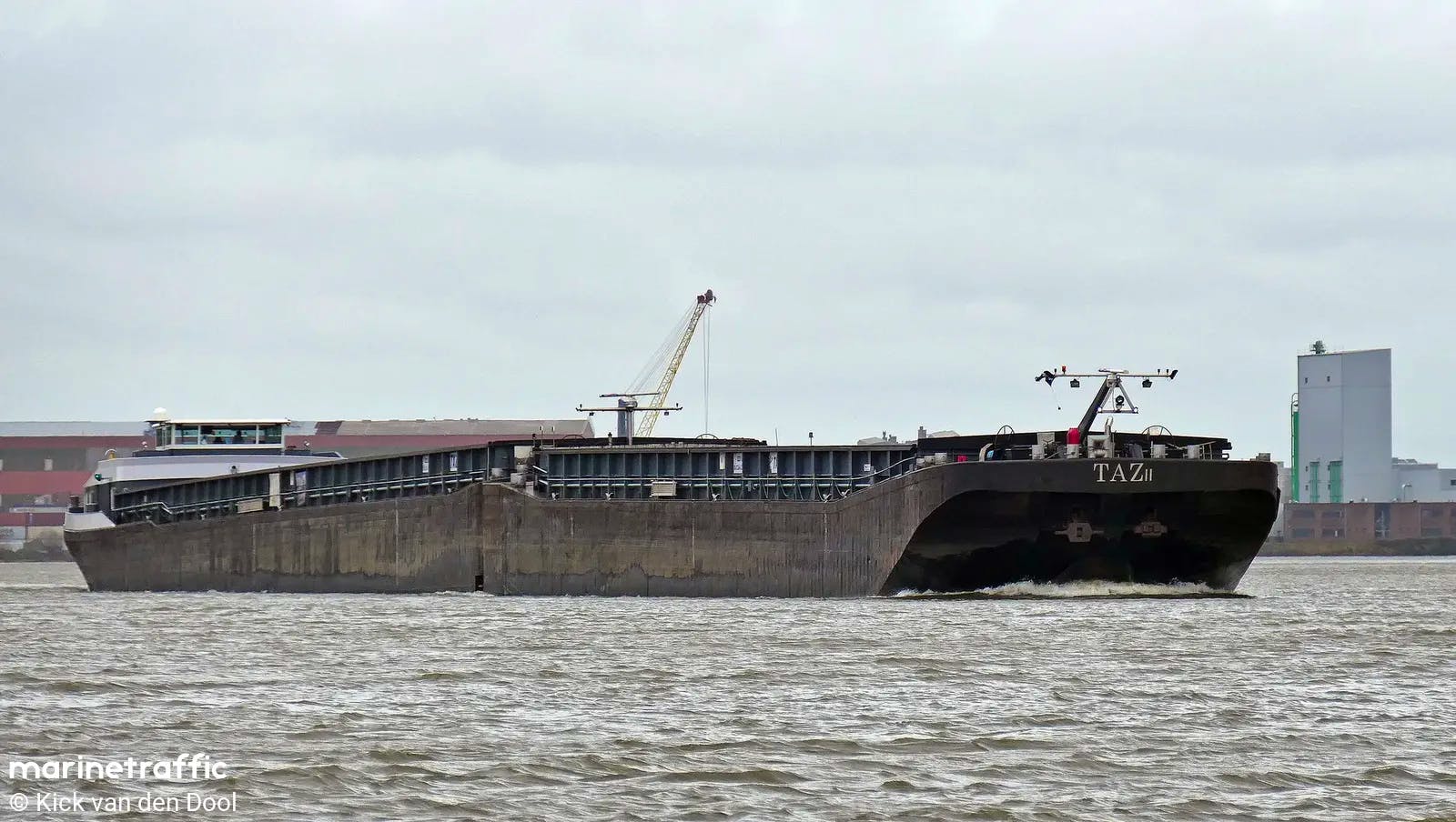 Taz II — thumbnail 3